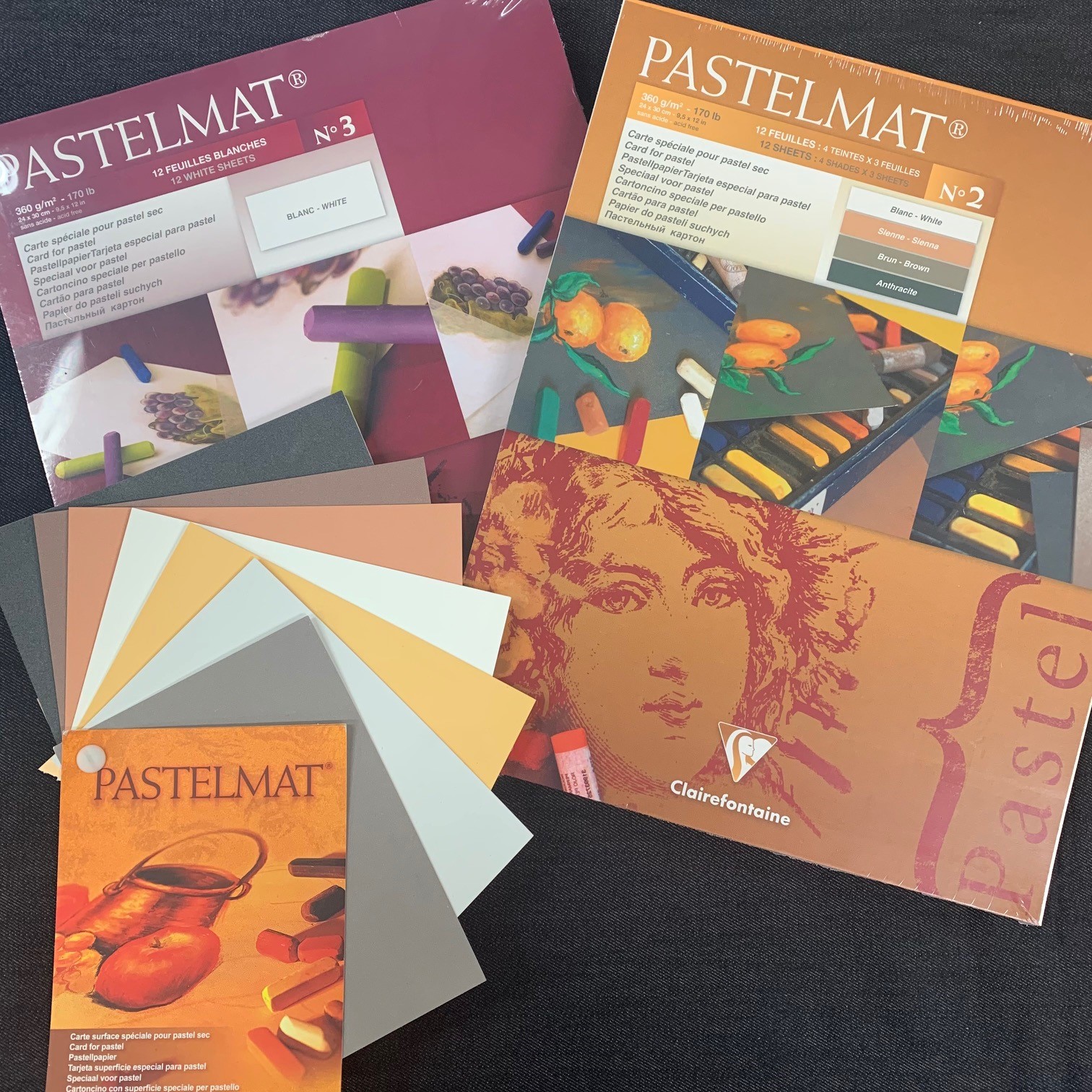 ref 3 - 24 x 30 cm Clairefontaine Pastelmat-Pastel carte Pad 360 g BLANC 