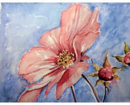 Watercolour Projects – 10 ideas for Beginners and School Teachers
