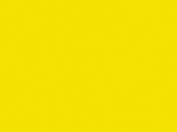 Lemon Yellow 004