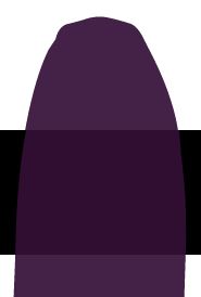 fluid permanent violet dark