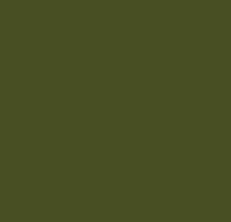 GCL6340 Montana GOLD Spray Olive Green 400ml The Paint Spot Art