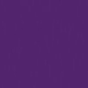 purple 613