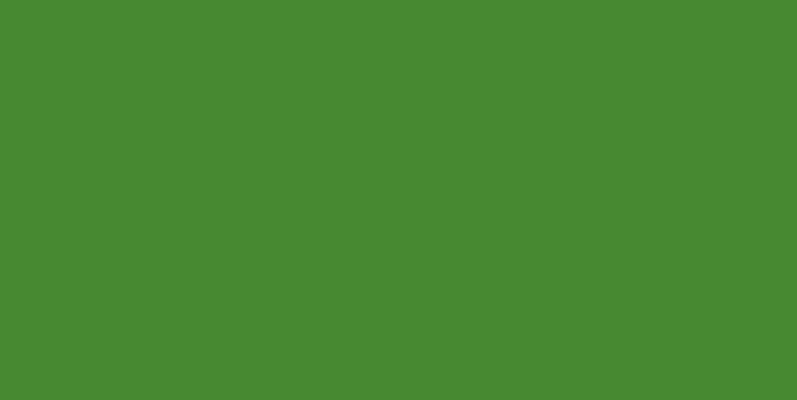 JFC021 Pinata Lime Green