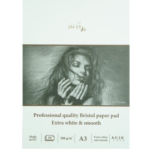 pro bristol paper pad