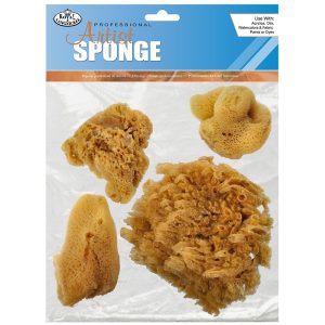 silk sponge set