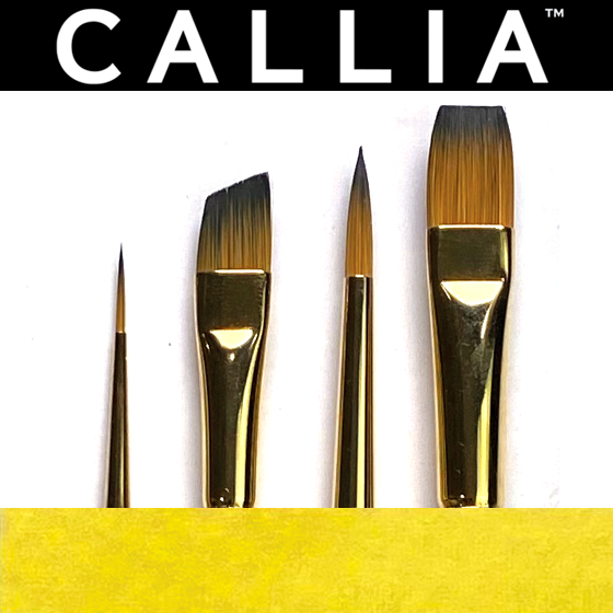 Starter brush set