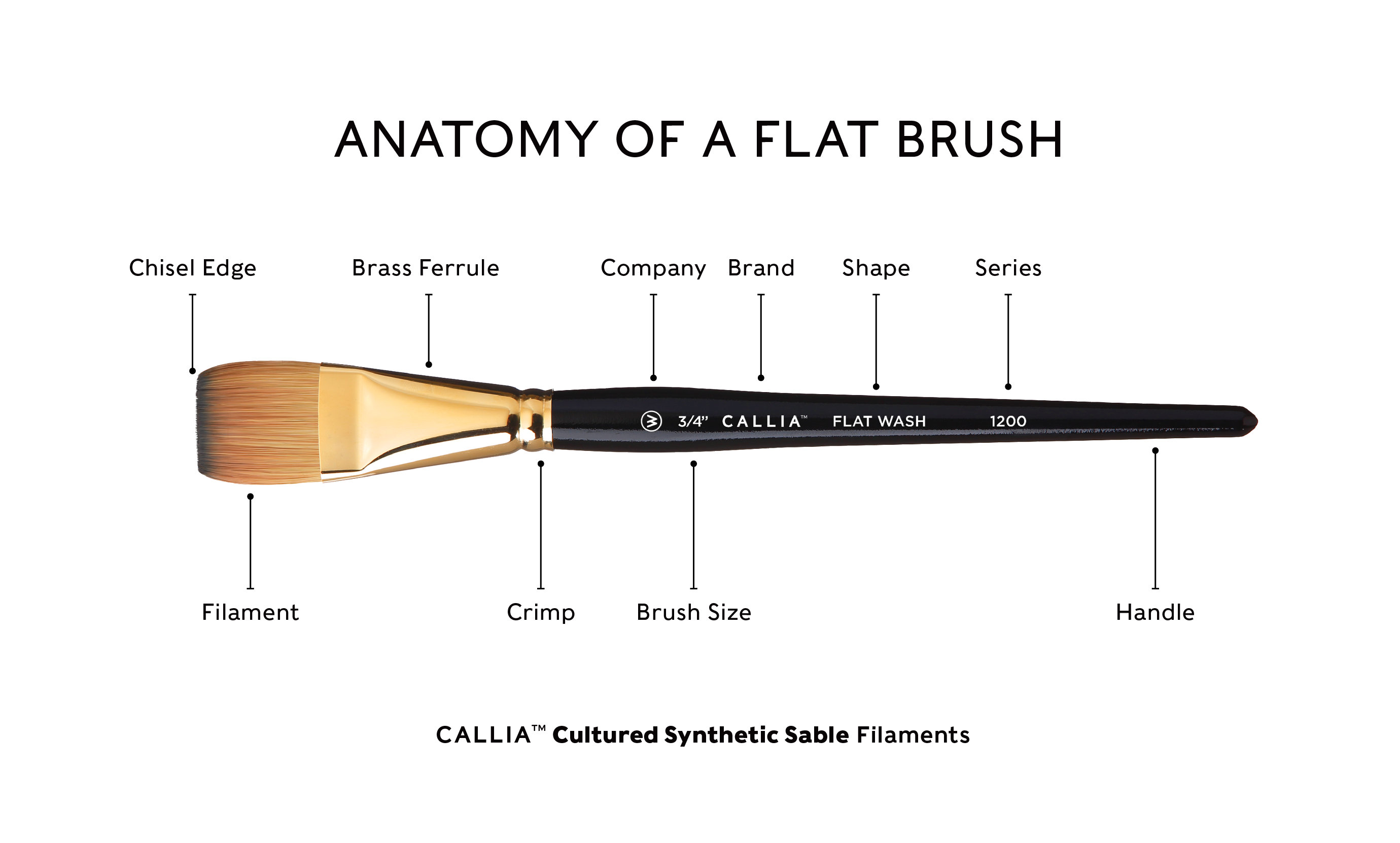 Willow Wolfe : Callia Brush : Series 1200 : Peak Drybrush : Size 2 - Willow  Wolfe : Callia - Willow Wolfe - Brands