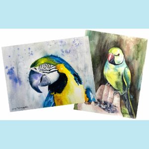 Sally Towers-Sybblis - Tropical Birds Watercolour