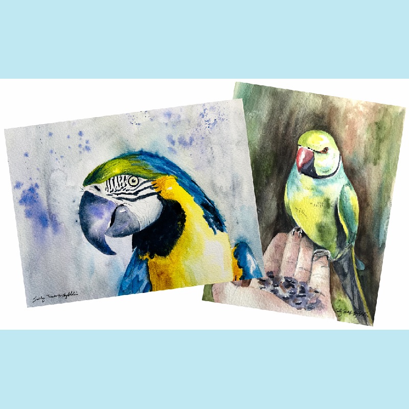 Tropical Birds In Watercolour