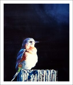 Eastern Bluebird Watercolour Workshop Francis Marte