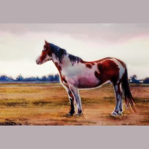 Pinto Horse at Dusk Watercolour Workshop Francis Marte
