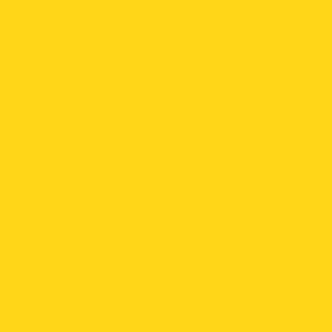 107 Cadmium Yellow