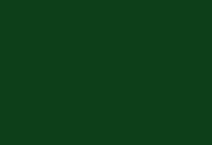 Ecoline 654 Fir Green