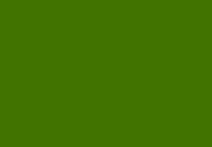 ecoline Bronze Green