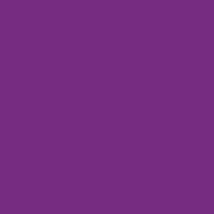 metallic violet posca