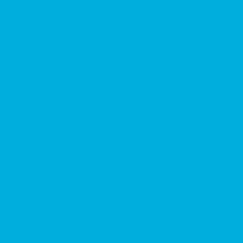Posca – Turquoise (Fluorescent Blue)