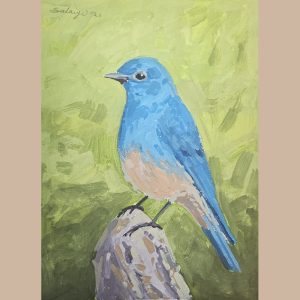 Birds in Acrylic - M. Salayi