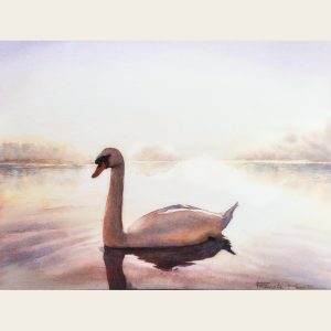 Francis Marte - Elegant White Swan