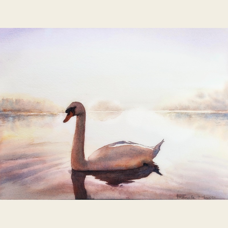 Elegant Swan in Watercolour