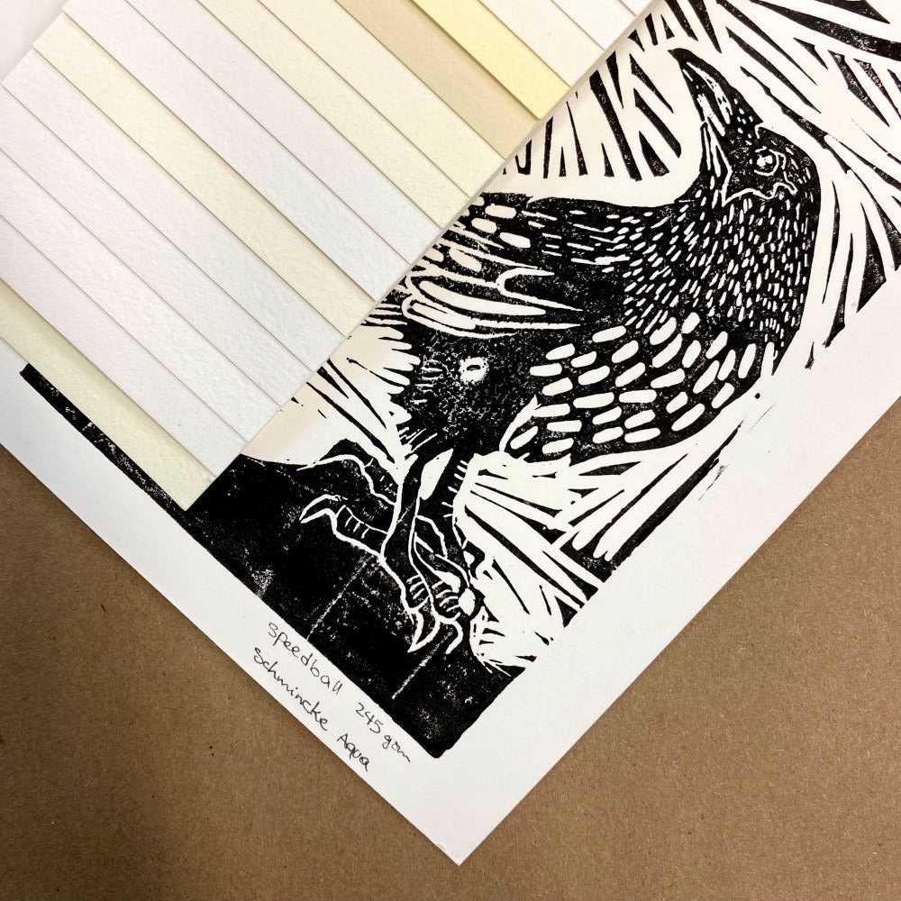 Printmaking Paper in Sheets