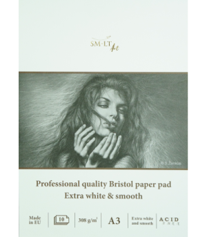 SMLT Professional Art Bristol Pads