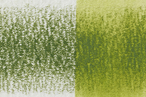 Derwent Inktense FERN 1560