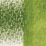 Derwent Inktense 1340 Olivine
