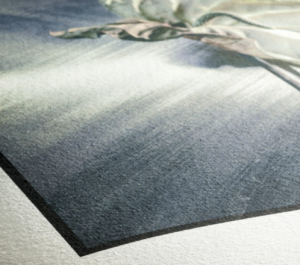 Hahnemuhle Traditional German Etching Paper