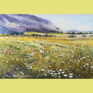 Summer Meadows in Watercolour