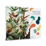 hummingbird paint by number