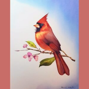 Watercolour Workshop: Red Cardinal