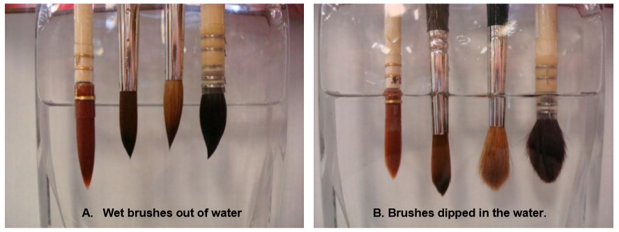 Example of watercolour brushes in and out of water