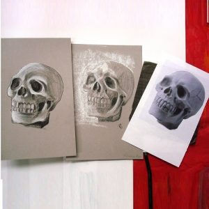 drawing conte skulls